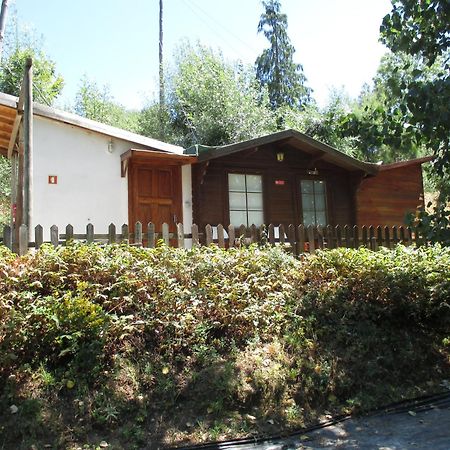 Bungalow "A Choupana" - Quinta Da Carvoica - Vale Pradinhos Vale de Pradinhos Dış mekan fotoğraf