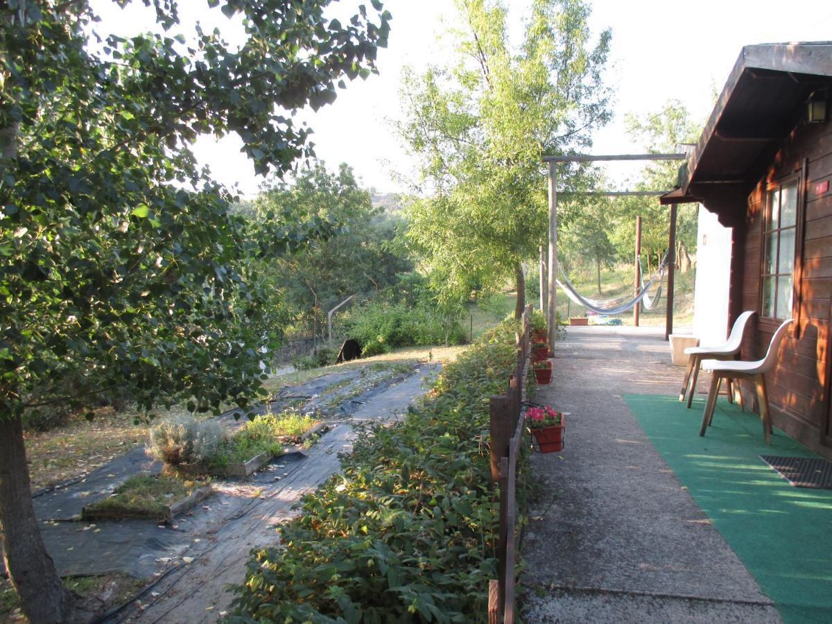 Bungalow "A Choupana" - Quinta Da Carvoica - Vale Pradinhos Vale de Pradinhos Dış mekan fotoğraf