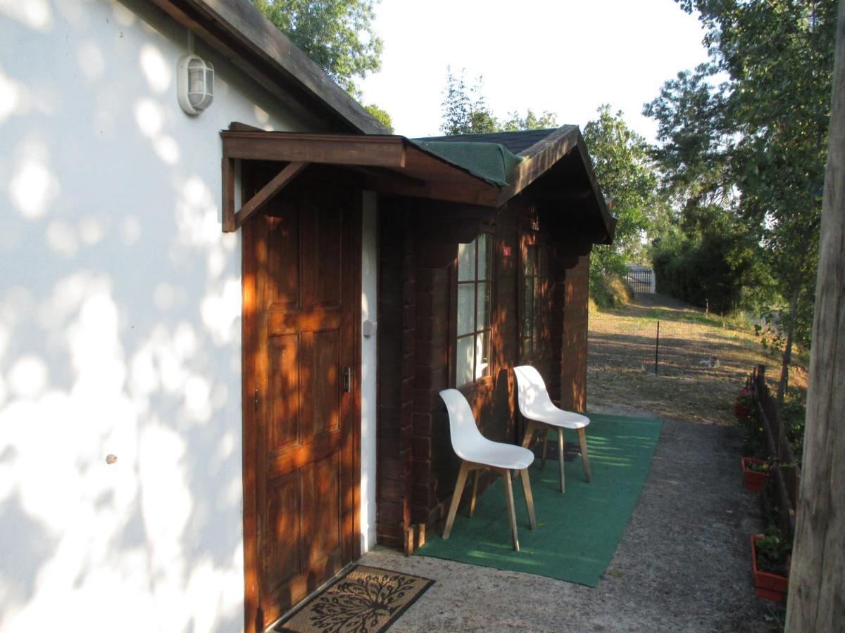 Bungalow "A Choupana" - Quinta Da Carvoica - Vale Pradinhos Vale de Pradinhos Dış mekan fotoğraf