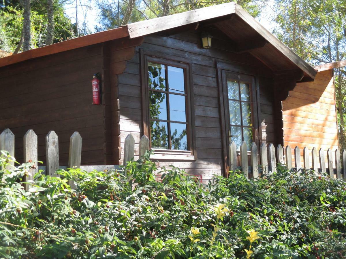 Bungalow "A Choupana" - Quinta Da Carvoica - Vale Pradinhos Vale de Pradinhos Dış mekan fotoğraf
